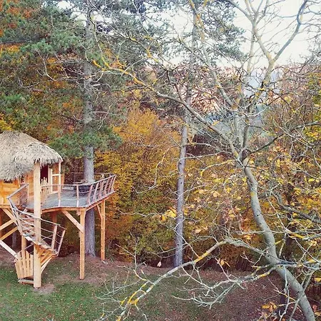 Luksusowy namiot Pine Point Trenczyńskie Cieplice