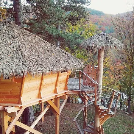 Pine Point Тренчианске-Теплице
